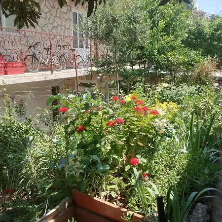Διαμέρισμα Marija Jelsa (Hvar)
